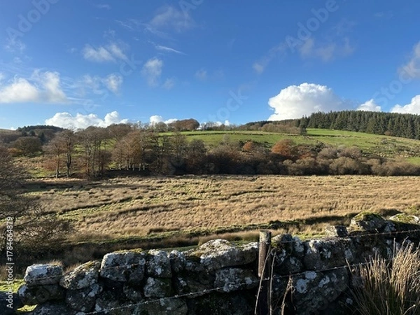 Obraz vineyard in france