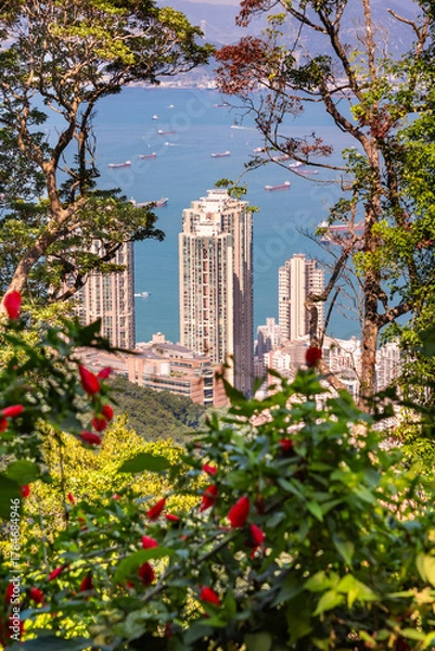 Obraz Hong Kong city view, skyscrapers and green plants
