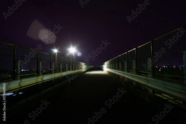 Obraz 夜の陸橋