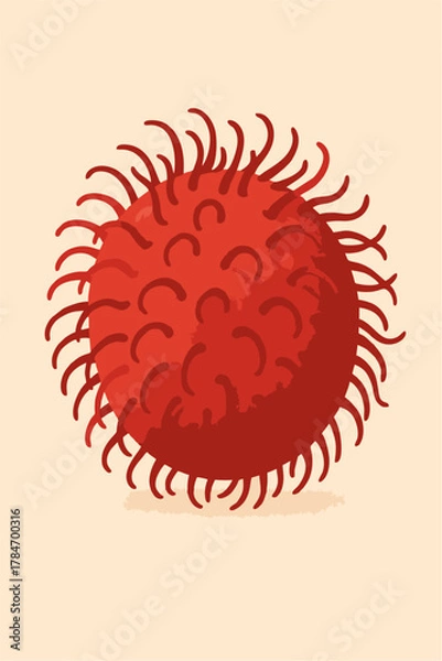 Obraz rambutan fruit vector