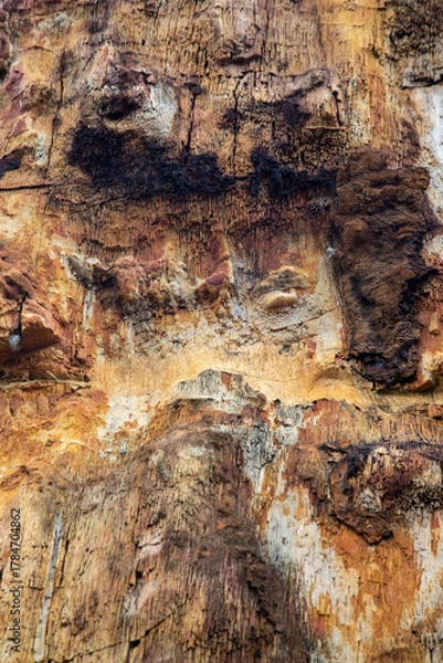 Obraz 태국여행 이야기