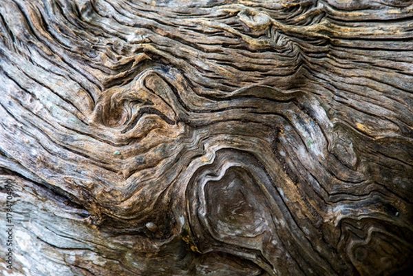 Obraz 태국여행 이야기