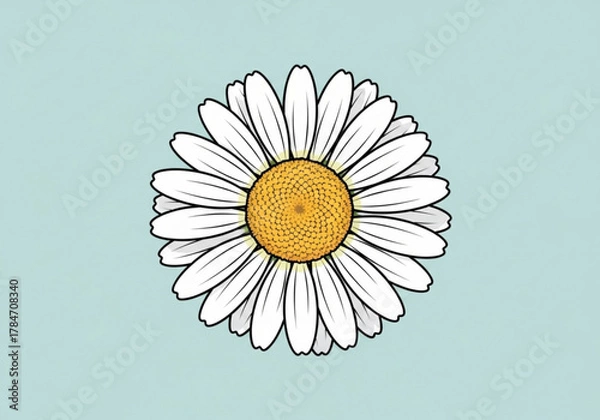 Fototapeta A single daisy flower with white petals and a yellow center on a light blue background