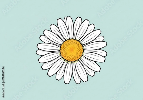 Fototapeta A simple white daisy flower with a yellow center on a light blue background