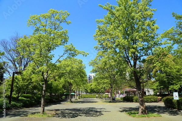 Obraz 公園