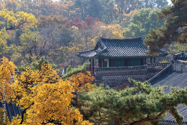 Obraz 창덕궁 가을 모습