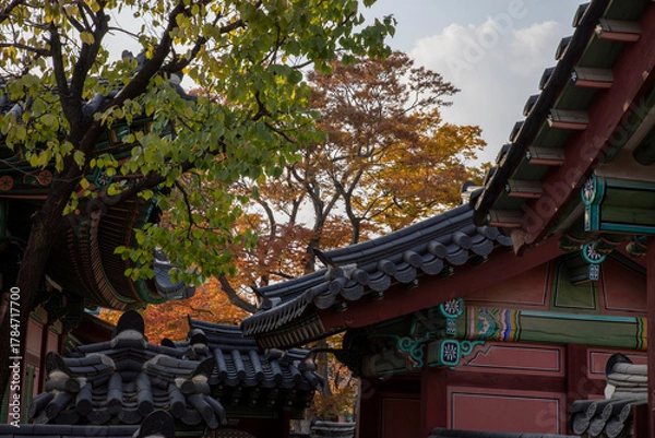 Obraz 창덕궁 풍경