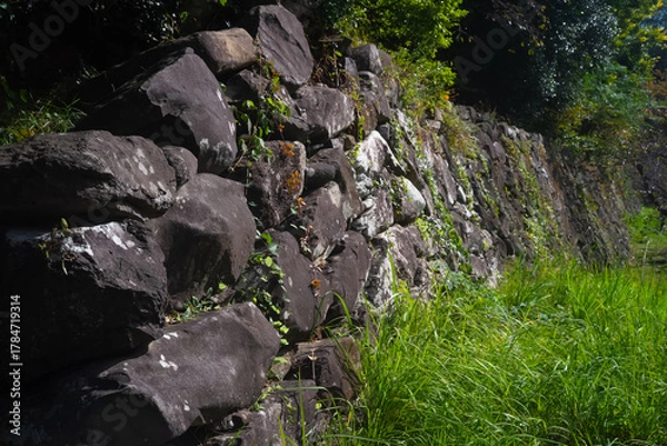 Obraz 城跡の古い石垣20251108