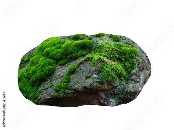 Fototapeta stone covered with green moss isolated on white background