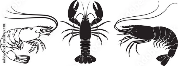 Fototapeta Three vintage style illustrations of crustaceans including shrimp and a lobster