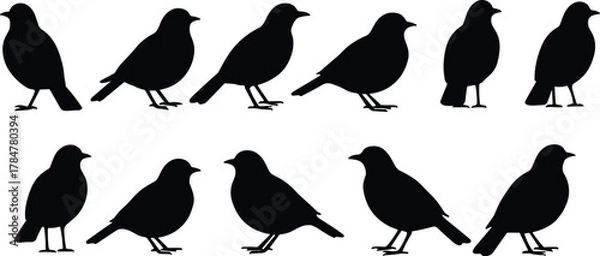 Obraz Bird silhouette vector set, black bird icons, standing poses collection, side profile birds, wildlife clipart, cad drawing flat vector illustration