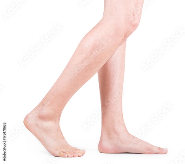 Obraz legs