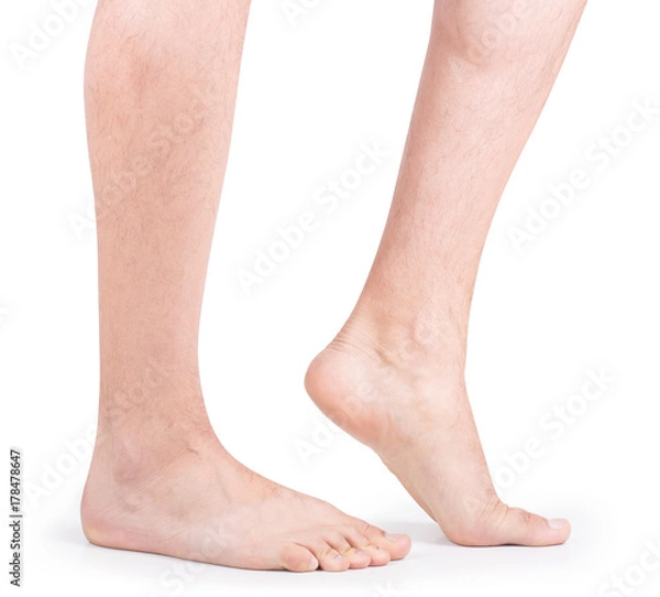Obraz legs
