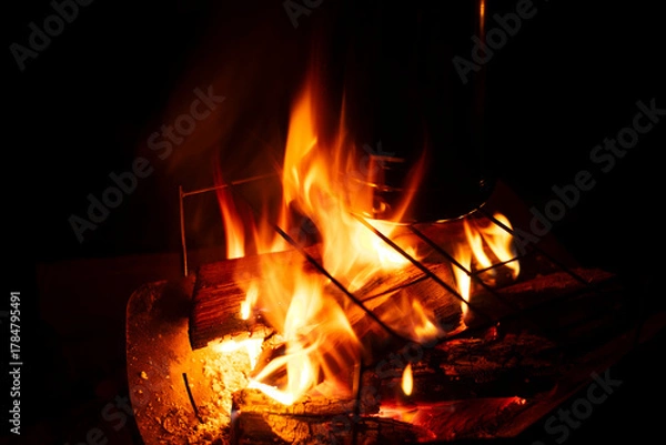 Obraz 夜の焚き火