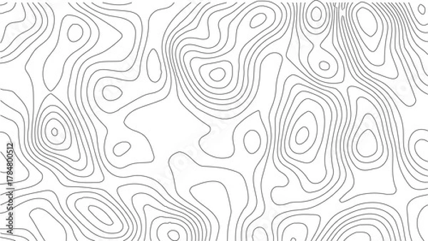 Obraz Topographic Contour Map Background. Abstract Vector Wave Grid With Mountain Relief. This Title Retains The Essential Keywords (Topographic, Vector, Contour, Map, Wave, Mountain) Abstract topographic.