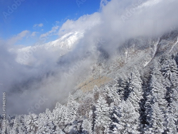 Obraz 新穂高ロープウェイ山頂駅付近の樹氷