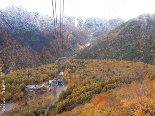 Obraz 新穂高ロープウェイから見下ろす山々、もみじの赤、ブナの黄色、針葉樹の緑が織りなす絨毯