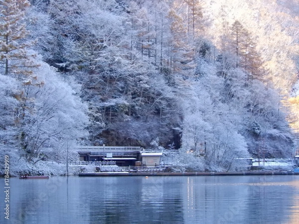 Obraz 雪化粧をした大正池
