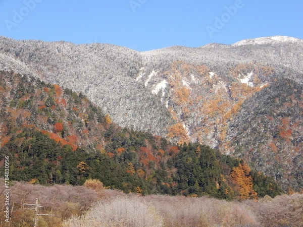 Obraz 雪冠した穂高連峰と紅葉のコラボレーション