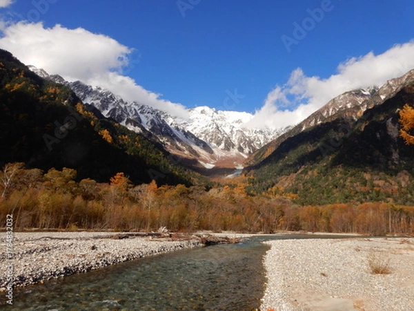 Obraz 晩秋の上高地、雪冠した穂高連峰と澄んだ青空と金色のカラマツと緑の針葉樹