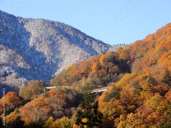 Obraz 平湯温泉の旅館で見た雪と紅葉のコラボレーション
