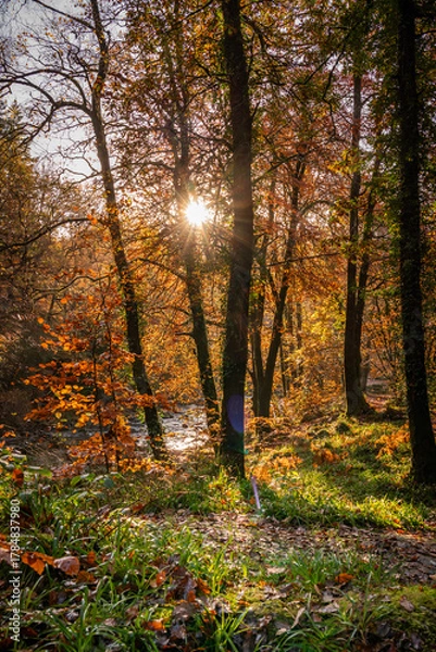 Fototapeta Autumn by the miners bridge north wales Uk