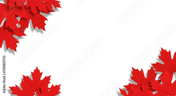 Fototapeta Red Maple Leaves Border on White Background leaf autumn