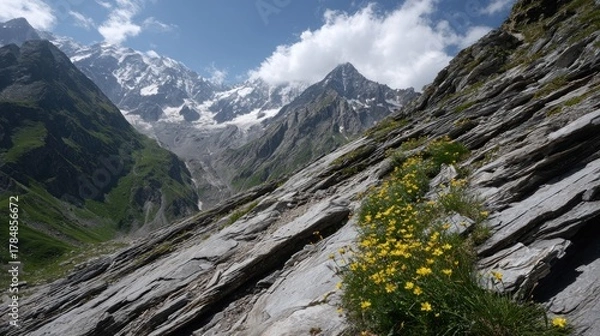Fototapeta Mountain slope with wildflowers and snow-capped peaks
