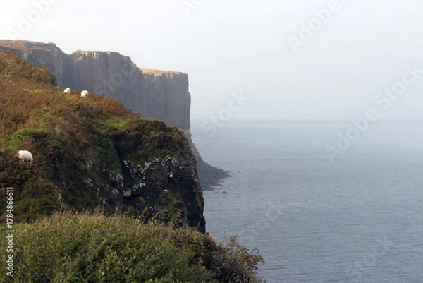 Fototapeta View of Mealt falls and Kilt Rock, Isle of Skye, Scotland
