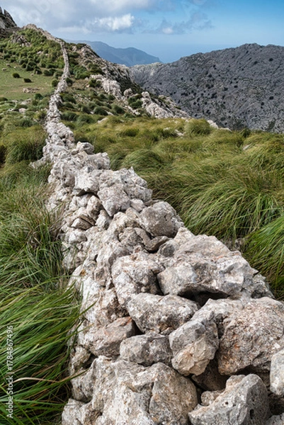 Obraz typische steinmauer auf mallorca