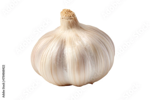 Fototapeta Garlic bulb resting