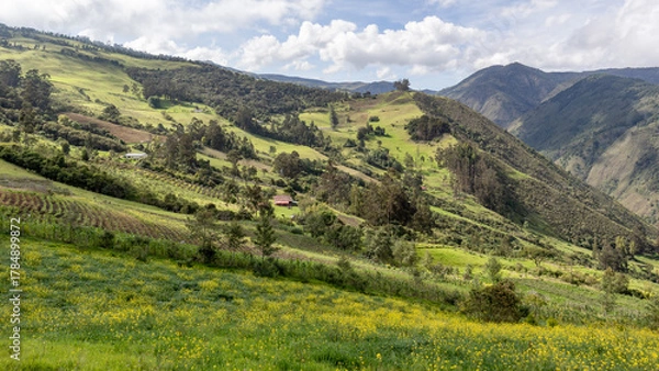 Fototapeta Expansive mountain panorama featuring crop fields, forests, and bright yellow wildflowers under a partly cloudy sky. Perfect for ecology, agriculture, and natural beauty concepts.