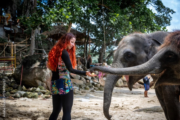 Obraz  A beautiful girl and elephants. A girl with red hair. Big elephants.