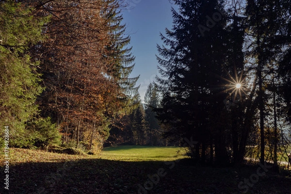 Obraz clearing in evening light in autumn / fall with blue sky in the Lecknertal near Hittisau in Bregenzer Wald in Vorarlberg Austria