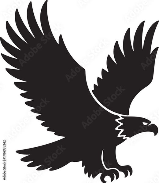 Obraz Eagle vector illustration in flight with wings spread