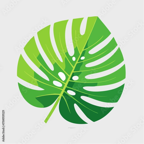 Obraz Monstera leaf illustration vibrant green tropical foliage isolated on light gray background