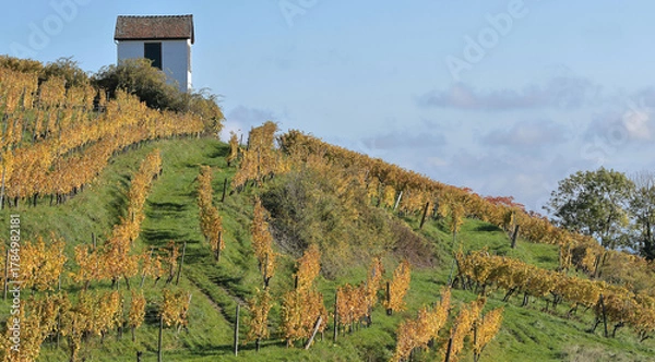Fototapeta Alsace - Barr