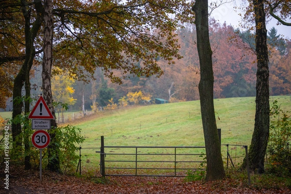 Obraz Straßenschäden im Wald