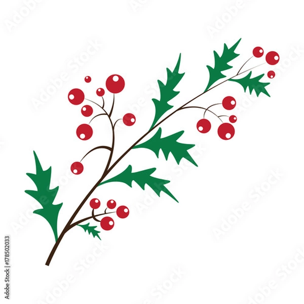 Fototapeta Rowan bunch of red berries red ripe leaf tree autumn season natural fruit vector illustration, seasonal Christmas bright delicious decoration