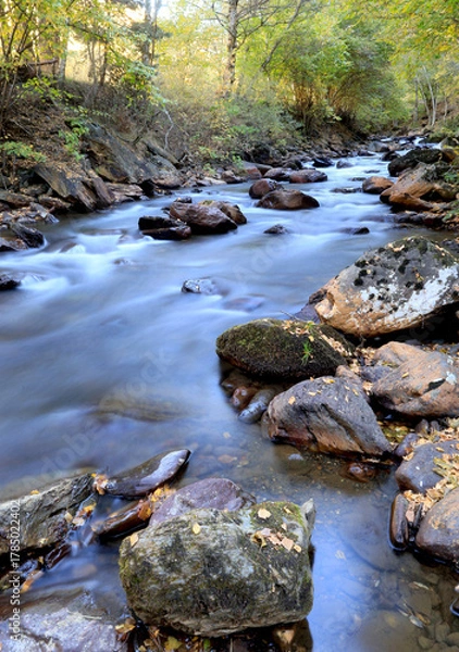 Obraz stream in the forest