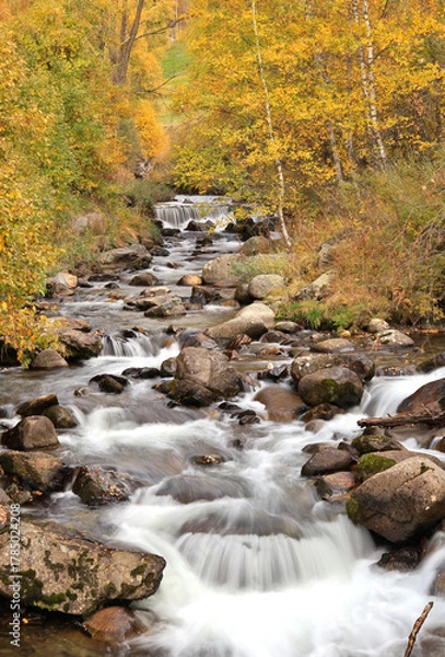 Obraz waterfall in autumn forest