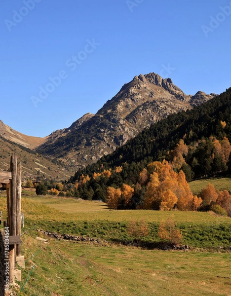 Obraz landscape in the mountains