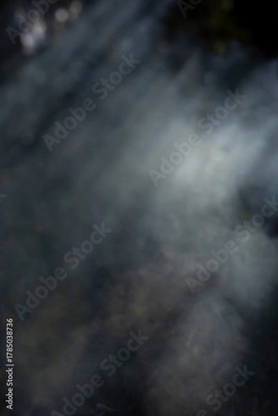Fototapeta Smoke in the forest. Smoke in the sunlight. The texture of the fog.