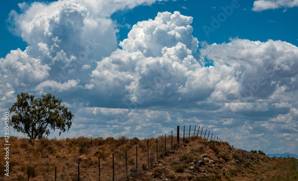 Obraz Over the hill..