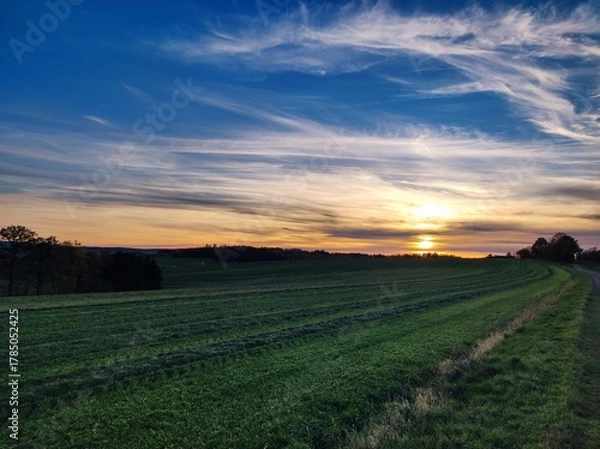 Fototapeta sunset over the field