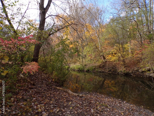 Obraz Fall landscape with colorful trees and river