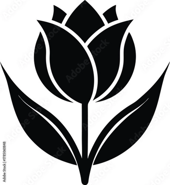 Fototapeta Black silhouette of a single tulip isolated on white background