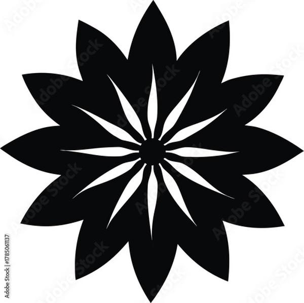 Fototapeta Black starburst flower with sharp petals and inner lines isolated on white background