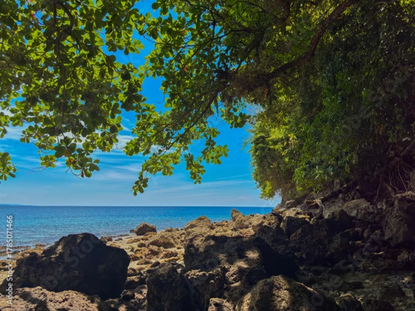 Fototapeta Discover tranquil turquoise waters through lush green foliage on a sunny tropical day