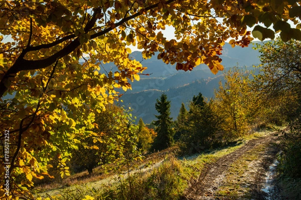 Obraz Beskidzka jesień